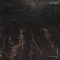 Bifurcaria Bifurcata